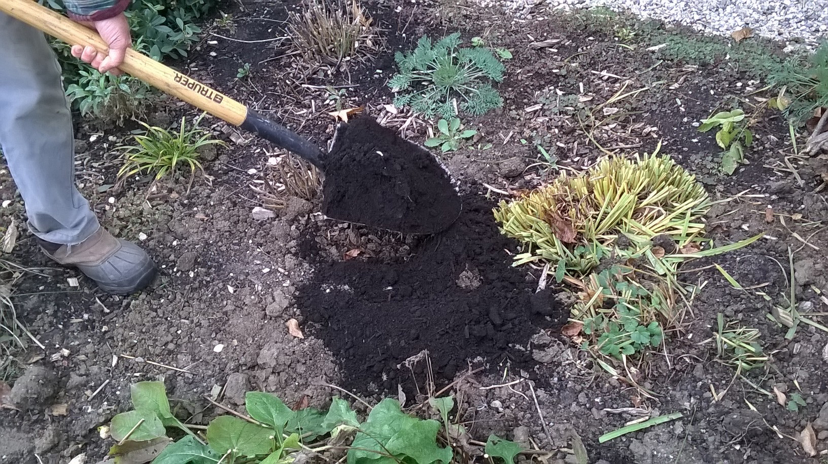 Wrapping Up the Flower Garden